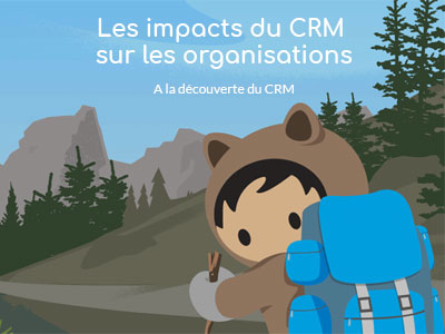 Les impacts du CRM sur les organisations. [A la découverte du CRM : 2/4]